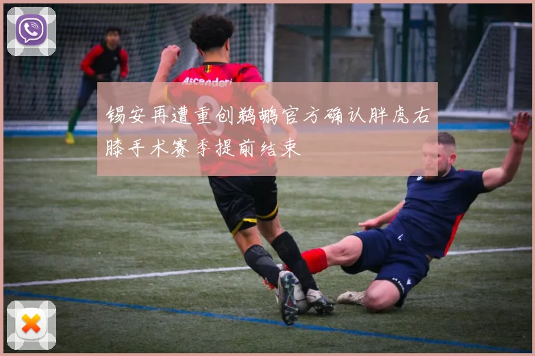 锡安再遭重创鹈鹕官方确认胖虎右膝手术赛季提前结束