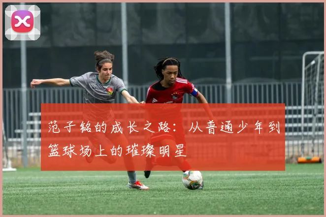 范子铭的成长之路：从普通少年到篮球场上的璀璨明星