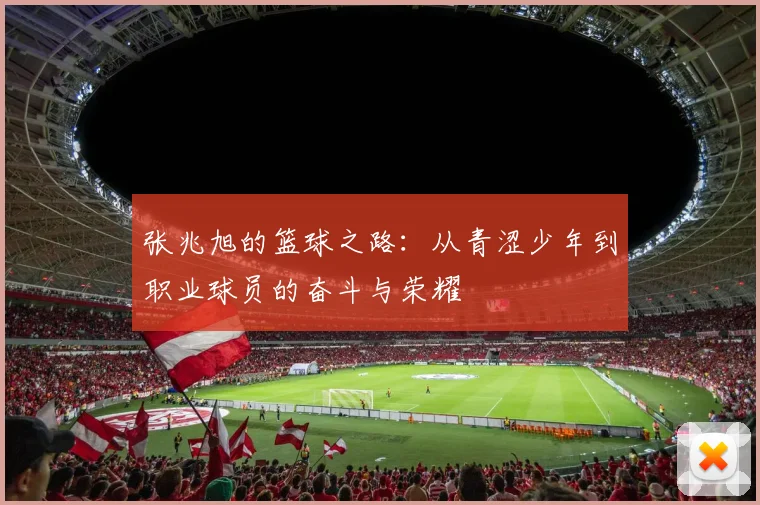 张兆旭的篮球之路：从青涩少年到职业球员的奋斗与荣耀