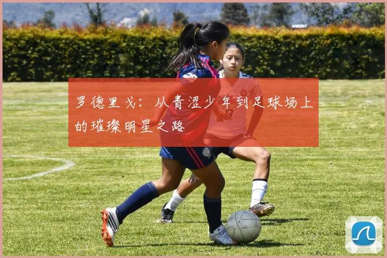 罗德里戈：从青涩少年到足球场上的璀璨明星之路